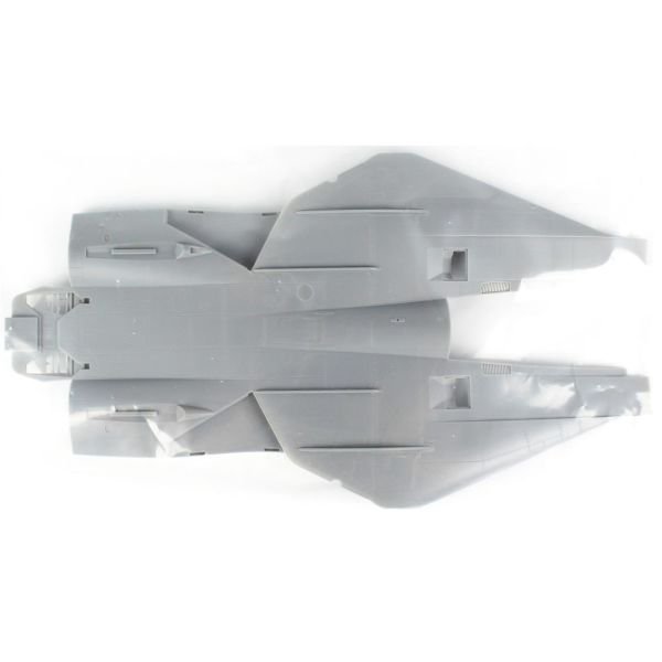 HobbyBoss 81771 1/48 Ölçek, F-14A TomCat - IRIAF (Persian Cat), Plastik Model kiti