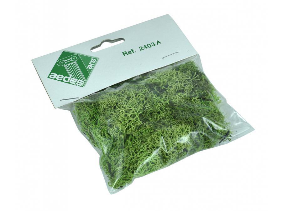 Musco Verde (Yeşil Bitki) 25gr.