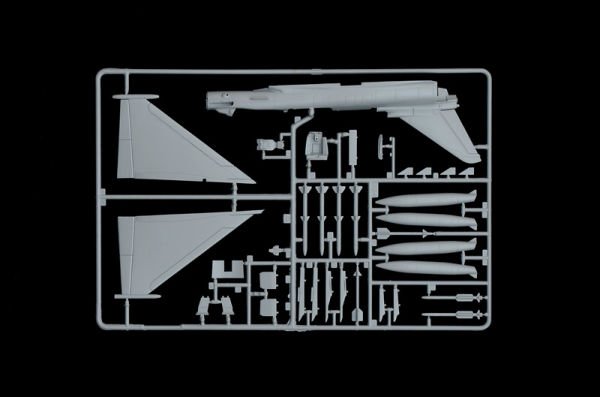 EF 2000 THYPOON (TWIN SEATER)