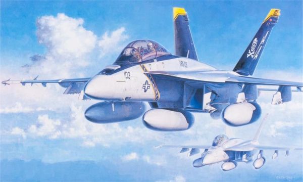 Hasegawa PT38 7238 1/48 Ölçek, F/A-18F Super Hornet, Savaş Uçağı, Plastik Model kiti