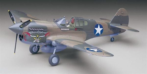 Hasegawa ST29 8879 1/32 Ölçek, P-40E Warhawk, Savaş Uçağı, Plastik Model kiti