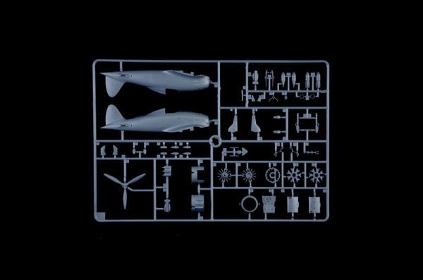 MACCHI MC 200 SERIES XXI