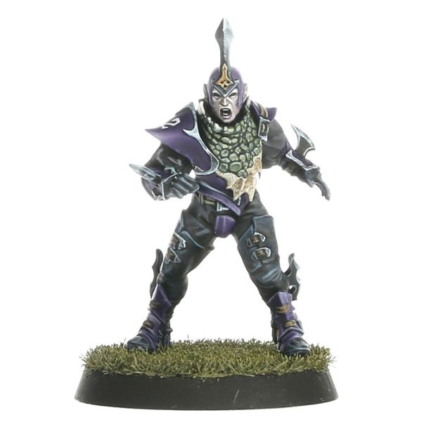 Blood Bowl: Dark Elf Team