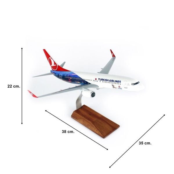 THY008 1/100 Ölçek, THY Cezayir Logolu B737-800 Yolcu Uçağı, Sergilemeye Hazır Ahşap Standlı Model