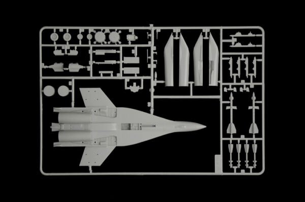 MIG 29 FULCRUM