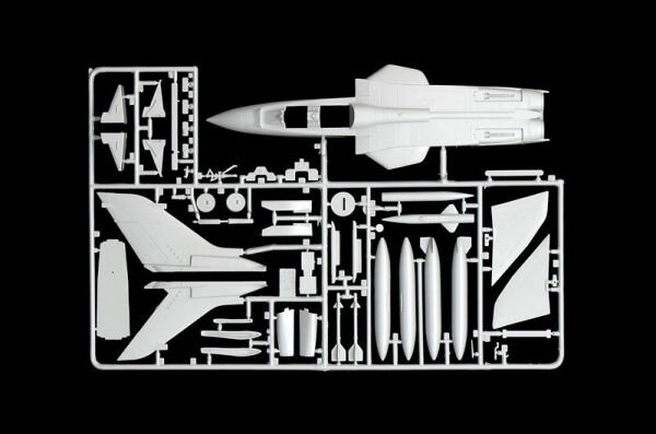 TORNADO IDS 60° ANNIV. 311° GV RSV