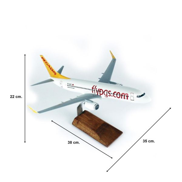 THY043 1/100 Ölçek, Pegasus B737-800 Yolcu Uçağı, Sergilemeye Hazır Ahşap Standlı Model