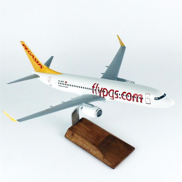 THY043 1/100 Ölçek, Pegasus B737-800 Yolcu Uçağı, Sergilemeye Hazır Ahşap Standlı Model