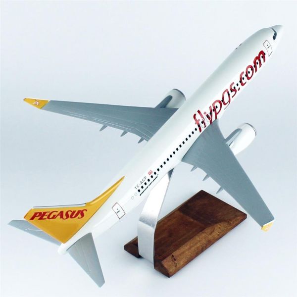 THY043 1/100 Ölçek, Pegasus B737-800 Yolcu Uçağı, Sergilemeye Hazır Ahşap Standlı Model