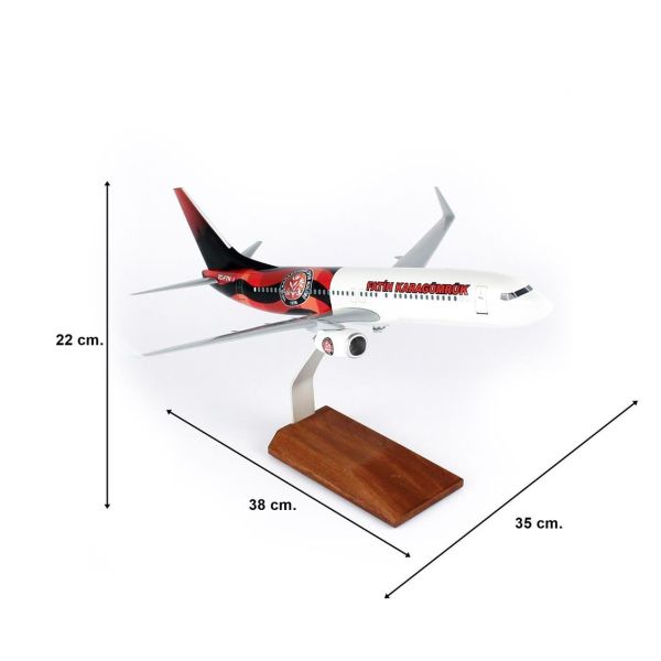 THY048 1/100 Ölçek, THY Fatih Karagümrük Spor B737-800 Yolcu Uçağı, Sergilemeye Hazır Ahşap Standlı Model