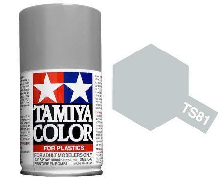 TS-81 Royal Light Gray 100ml Spray