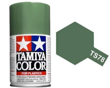 TS-78 Field Gray 100ml Spray