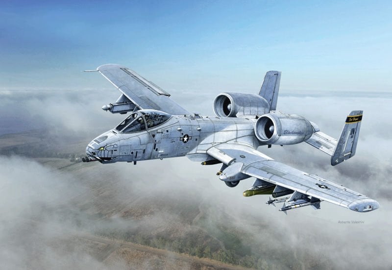 A - 10C ''Blacksnakes''