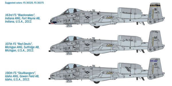 A - 10C ''Blacksnakes''