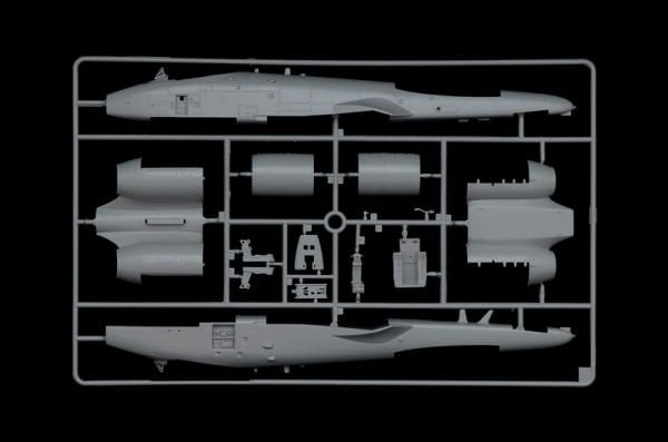 A - 10C ''Blacksnakes''