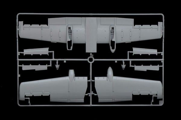 A - 10C ''Blacksnakes''